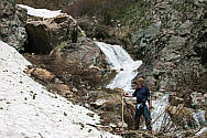 Click for large photo