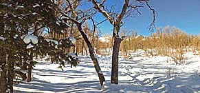 Click for large photo