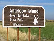  Antelope Island Ride 
 