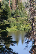 Click for large photo