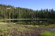 Click for large photo