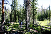 Click for large photo